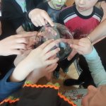 phoca_thumb_m_arodjnice 130 Fotogalerie